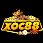 xoc88vin