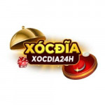 xocdia24h1