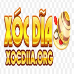 xocdiiaorg