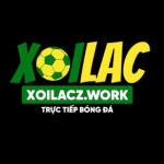 xoilaczwork