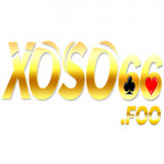 xoso66foo