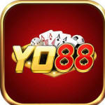 yo88feedback