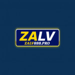 zalv888pro1