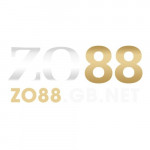 zo88gbnet