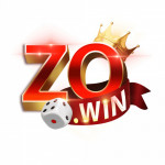 zowinsenet