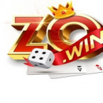 zowinsnet