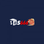 zs666site