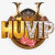 Huviplink