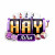 a2haywinitcom