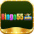 bingo55brcom