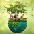 biodiversity