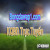 bongdasowapcom