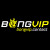 bongvipcontact