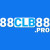 clb88pro1