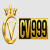 kingcv999com