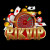 rikvipvision