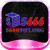 s666vietorg