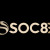 soc88pensionadviser