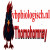 thomohomnayvbp