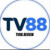 tv88review