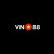 vn88foundation