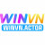 winvnactor