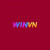 winvnycom